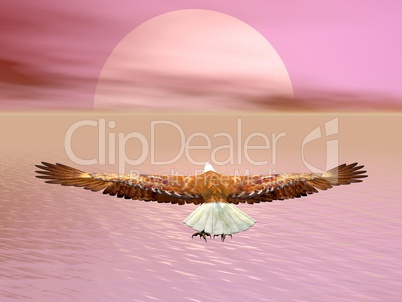 Eagle going to the sun - 3D render