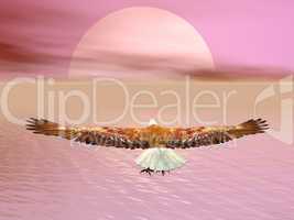 Eagle going to the sun - 3D render