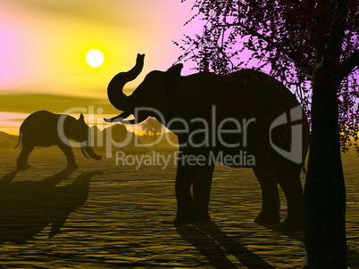 Elephants by sunset - 3D render