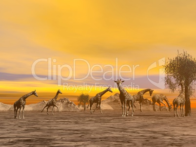 Giraffes in the savannah - 3D render