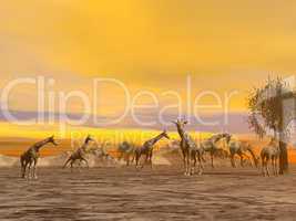 Giraffes in the savannah - 3D render