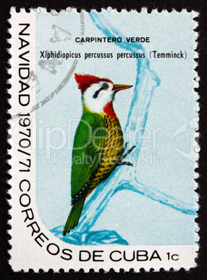 postage stamp cuba 1970 cuban green woodpecker, bird
