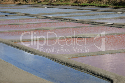 France, the salt evaporation pond in Guerande