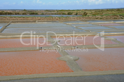 France, the salt evaporation pond in Guerande