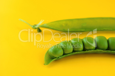 fresh pea