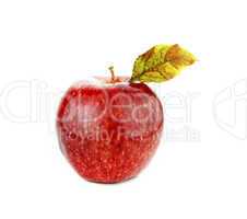 Fresh red apple