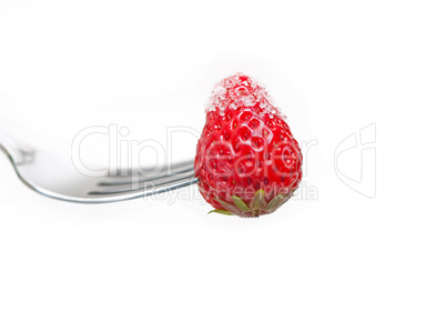 srawberry on a fork isolated