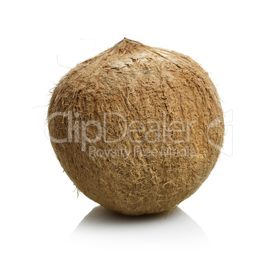 Coconut