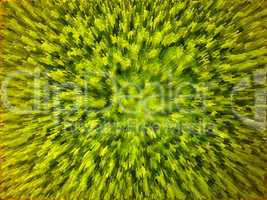 green background with abstract stripes