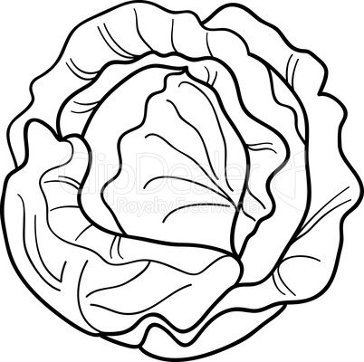 cabbage vegetable cartoon for coloring book