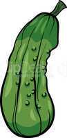 cucumber vegetable cartoon illustration