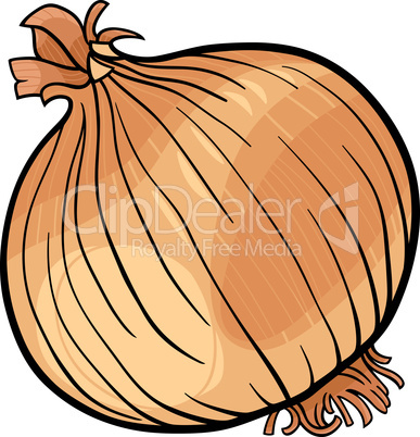 onion vegetable cartoon illustration