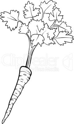 parsley vegetable cartoon for coloring book
