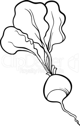 radish vegetable cartoon for coloring book