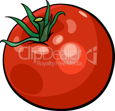 tomato vegetable cartoon illustration