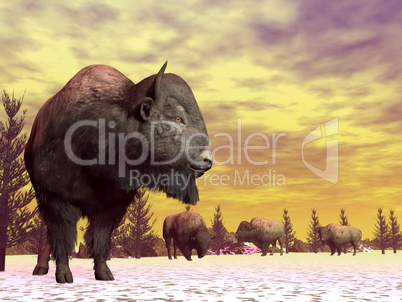Bisons in winter - 3D render