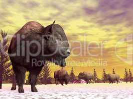Bisons in winter - 3D render