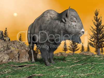 Bison by sunset - 3D render