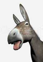Donkey laughing at you - 3D render