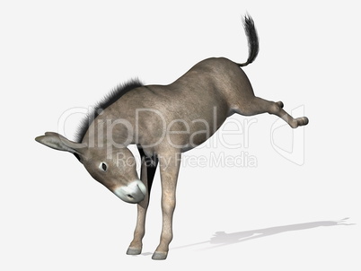 Donkey rearing - 3D render