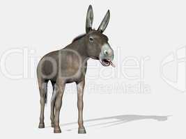 Donkey laughing at you - 3D render