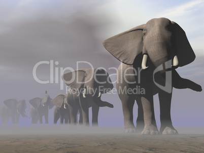 Elephants in a row - 3D render
