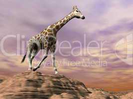 Giraffe observing on a dune - 3D render