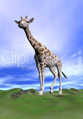 Giraffe observing - 3D render