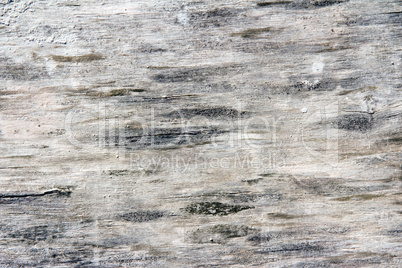 Wood texture