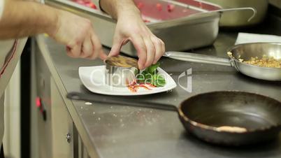 Chef Arranging Plate Food.