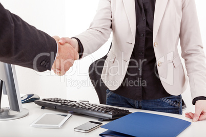 Businesswoman with briefcase man shakes the hand