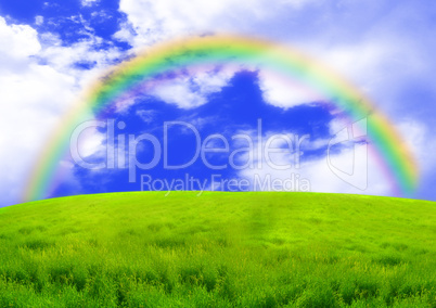 Rainbow over a green glade