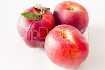 nectarines