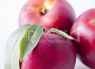 nectarines - close up