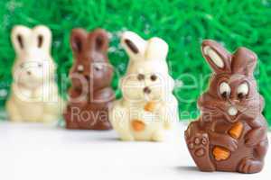 black and white easter bunnies