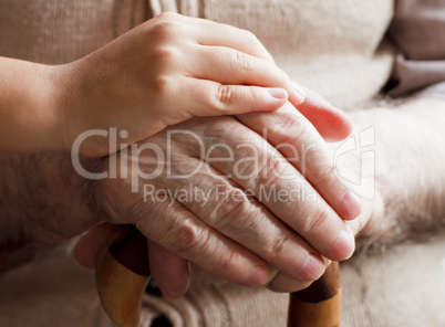 Elderly Care