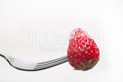 srawberry on a fork isolated