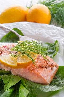 grilled salmon fillets on spinach