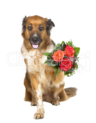 Adorable dog offering a posy of flowers