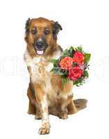 Adorable dog offering a posy of flowers