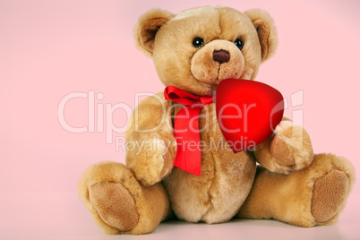 Teddy Bear with Heart