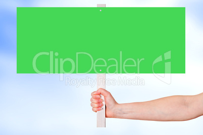 Hand holding blank green sign