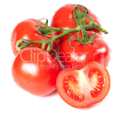 Bunch of fresh tomatoes with water drops