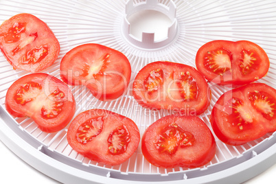 Fresh tomato on food dehydrator tray, ready to dry