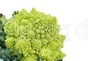 Romanesco broccoli or Roman cauliflower