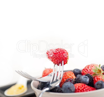 custard pastry cream and berries