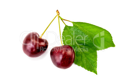 Cherry two berries