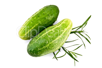 Cucumber with tarragon