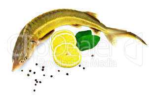 Fish starlet with lemon and leaf