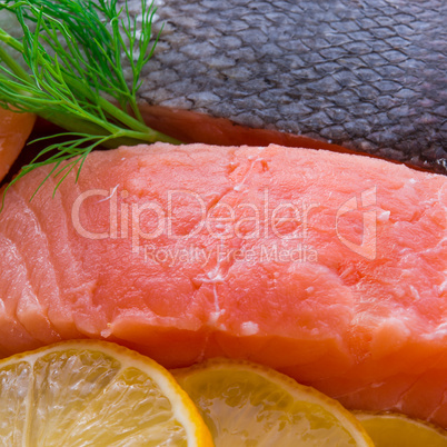 salmon raw